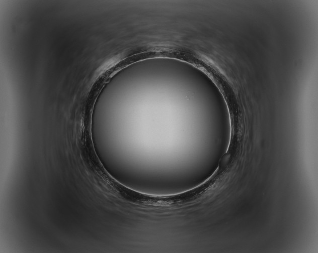 X0000085731261200703231040