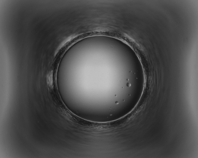 X0000085731262200703231040