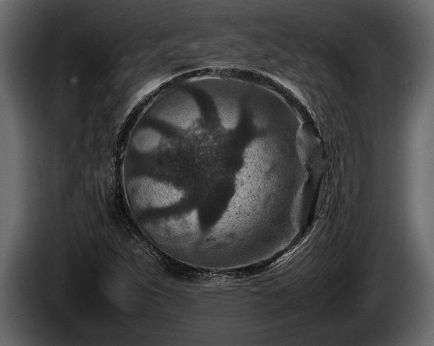 X0000085731263200703231040