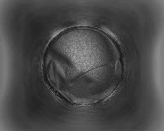 X0000085731264200703231040