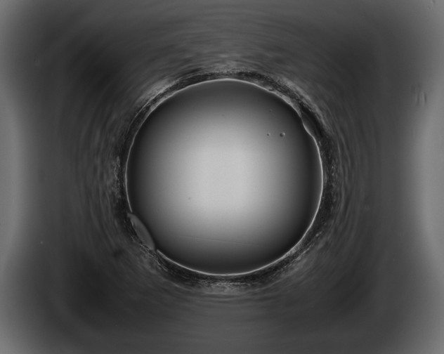 X0000085731265200703231040