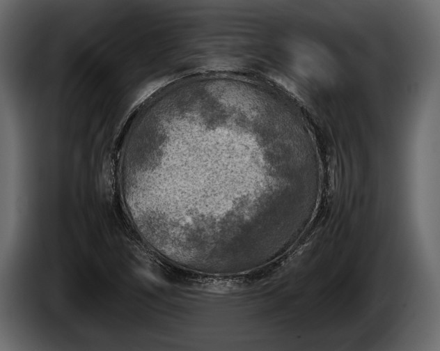 X0000085731266200703231040