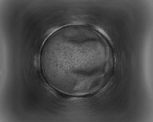 X0000085731268200703231040