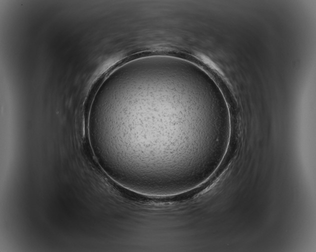 X0000085731269200703231040