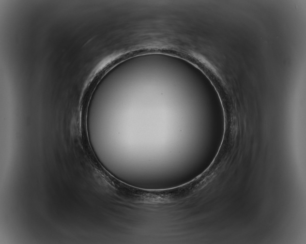 X0000085731270200703231040