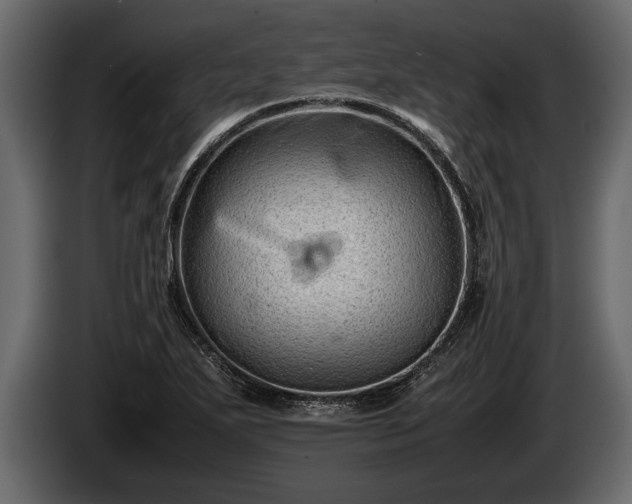 X0000085731271200703231040