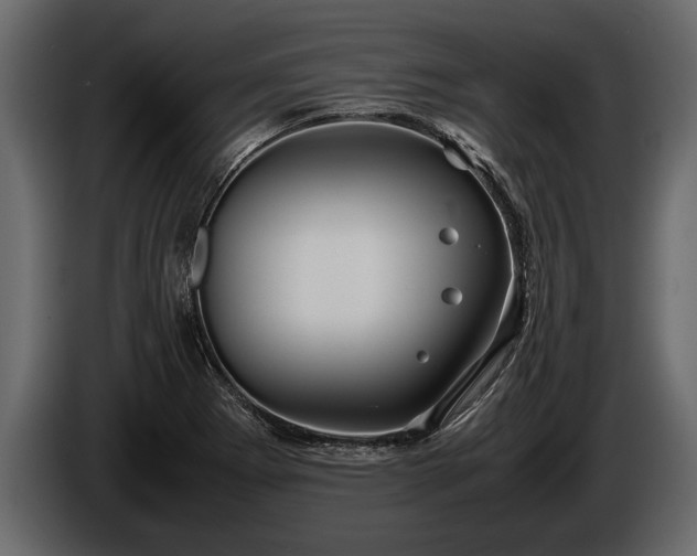 X0000085731273200703231040