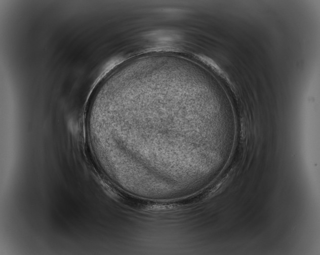 X0000085731274200703231040