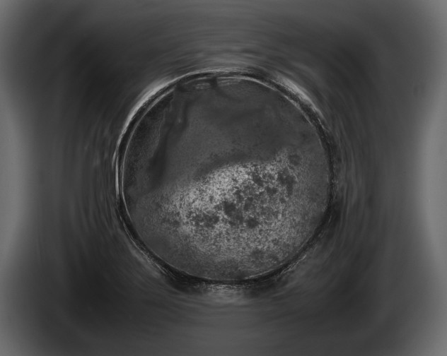 X0000085731275200703231040