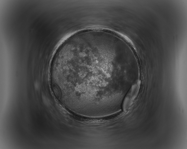 X0000085731279200703231040