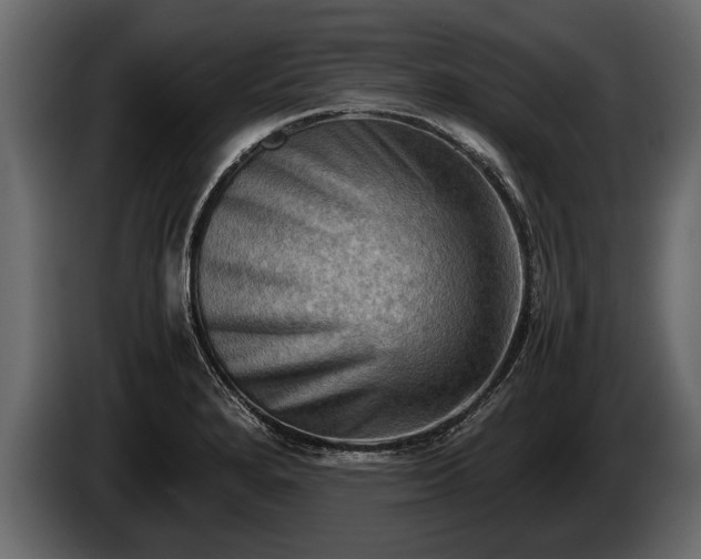 X0000085731280200703231040