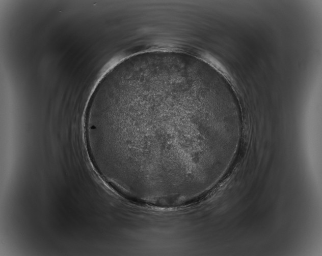 X0000085731283200703231040