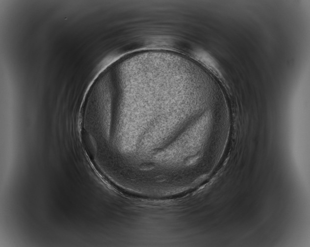 X0000085731284200703231040