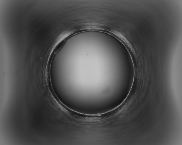 X0000085731285200703231040