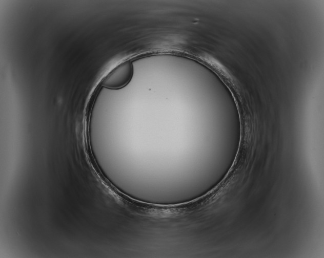 X0000085731286200703231040