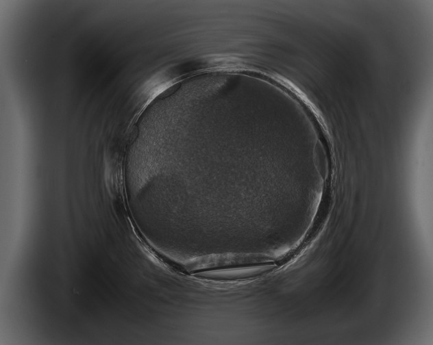 X0000085731289200703231040