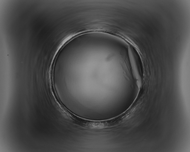 X0000085731291200703231040