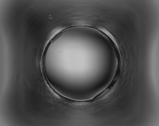 X0000085731293200703231040