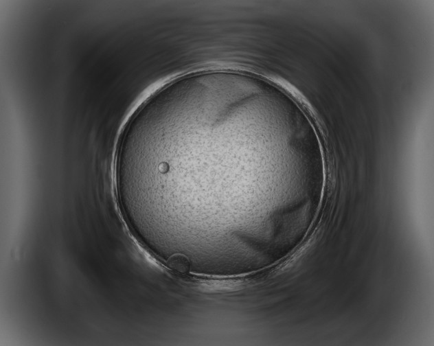 X0000085731294200703231040