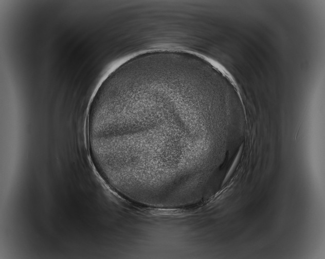 X0000085731295200703231040