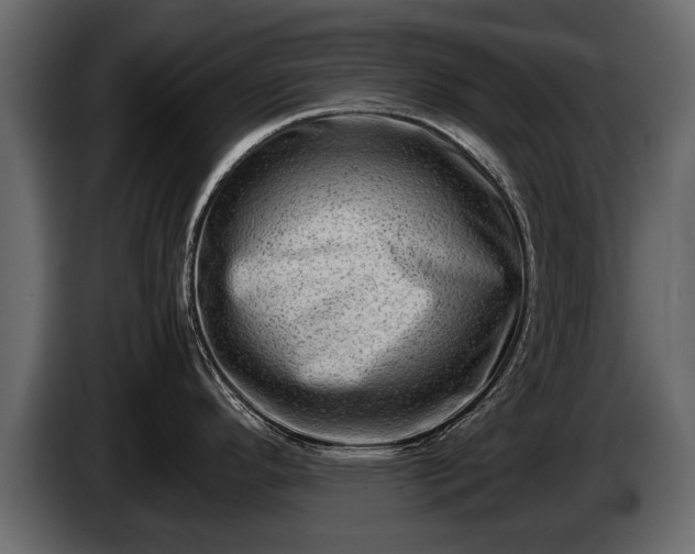 X0000085731296200703231040