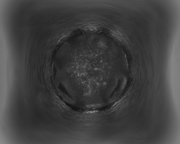 X0000085731297200703231039