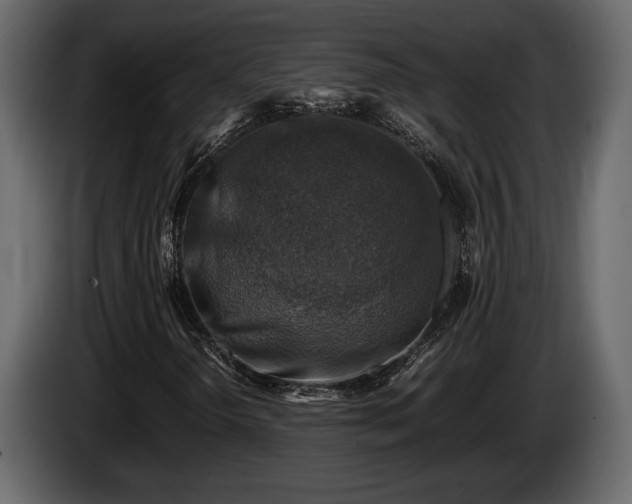 X0000085731298200703231039