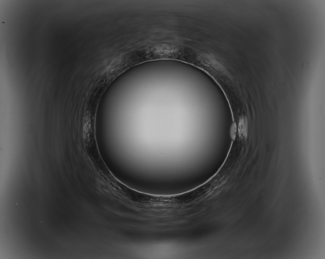 X0000085731299200703231039