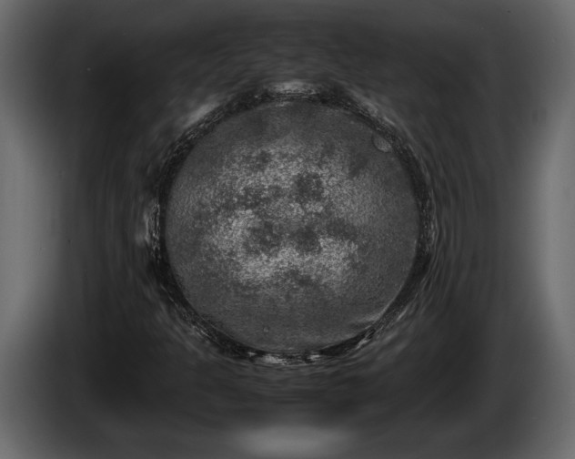 X0000085731301200703231039