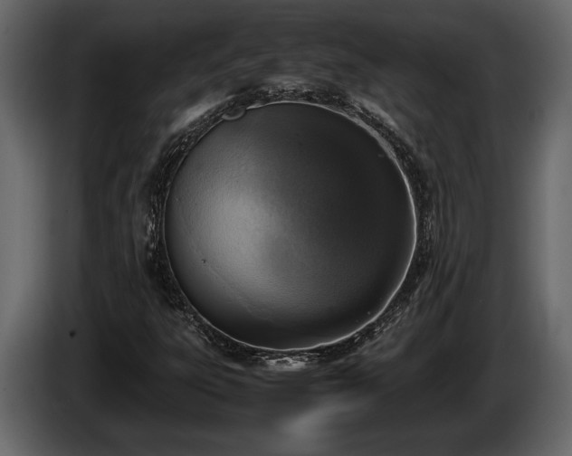 X0000085731303200703231039