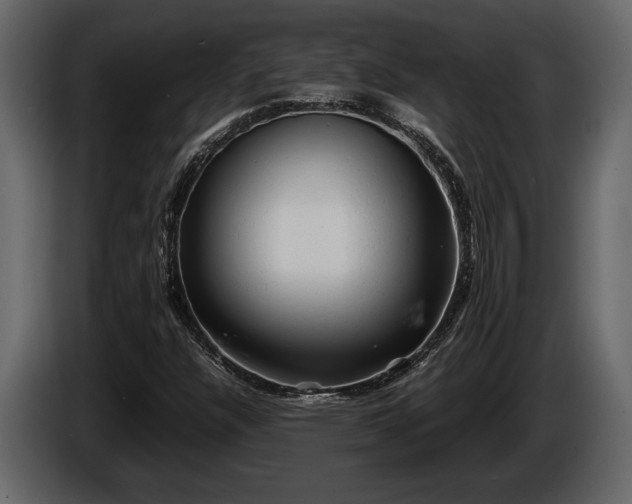 X0000085731304200703231039