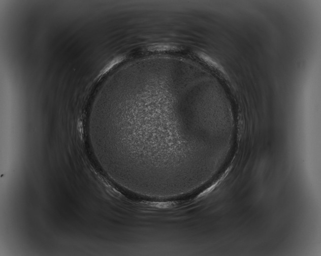 X0000085731305200703231039