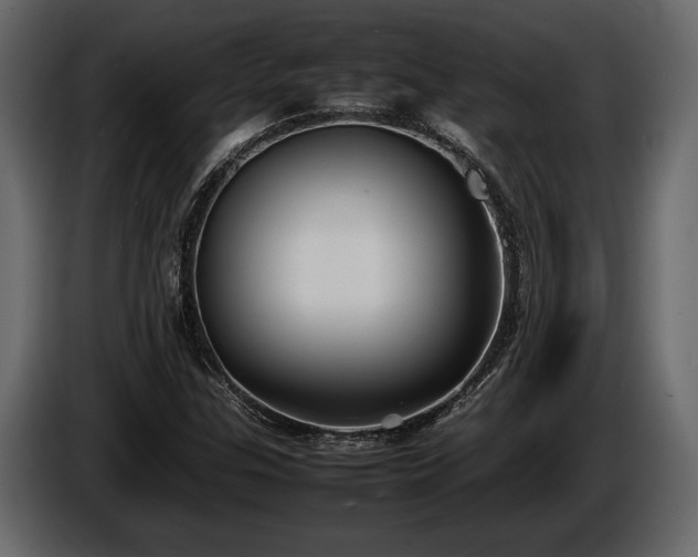 X0000085731307200703231039