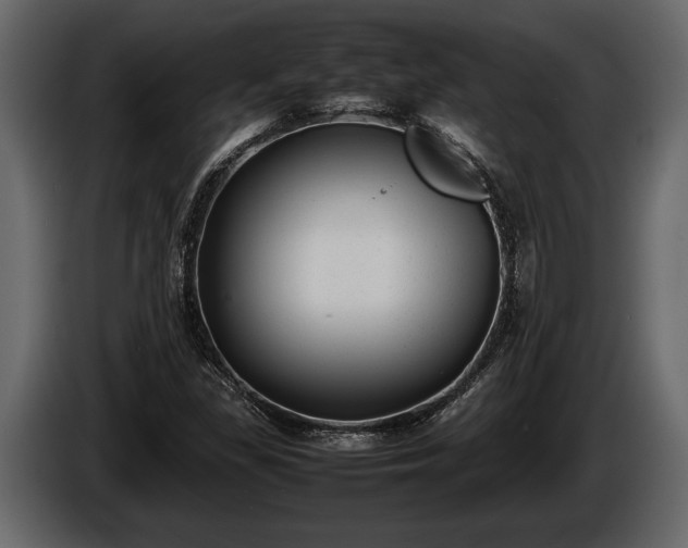 X0000085731309200703231039