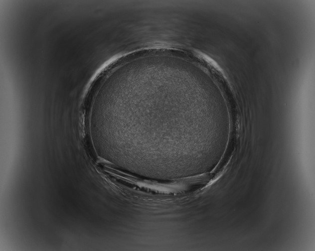 X0000085731310200703231039