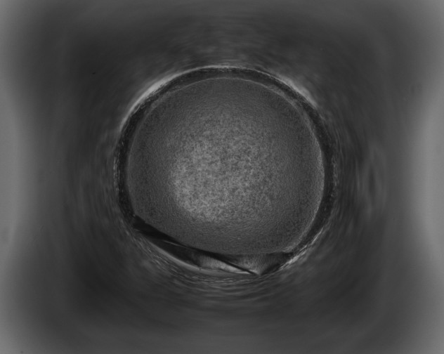 X0000085731311200703231039