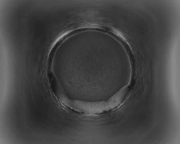 X0000085731312200703231039