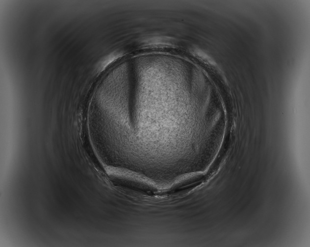 X0000085731313200703231039