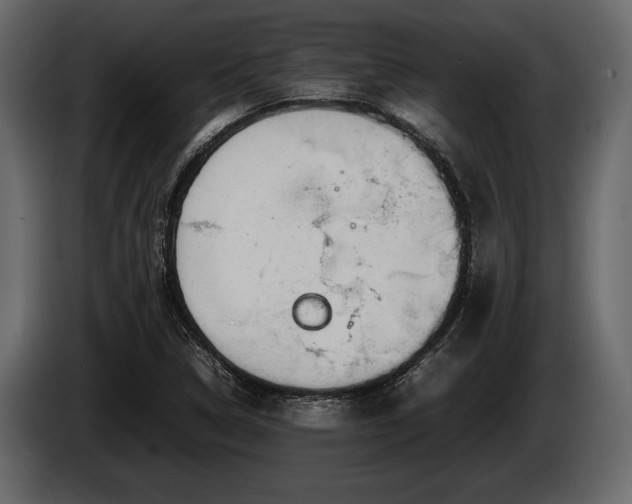 X0000085731314200703231039