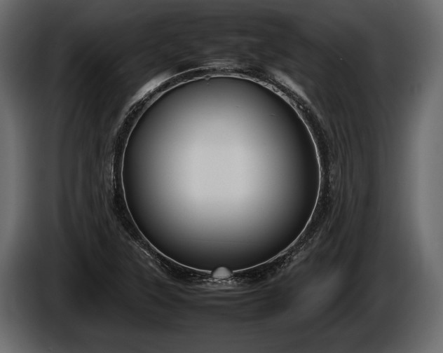 X0000085731315200703231039