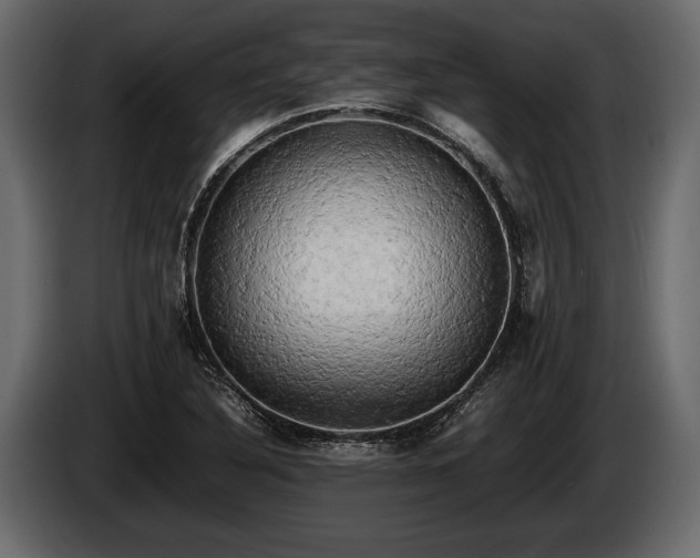 X0000085731316200703231039