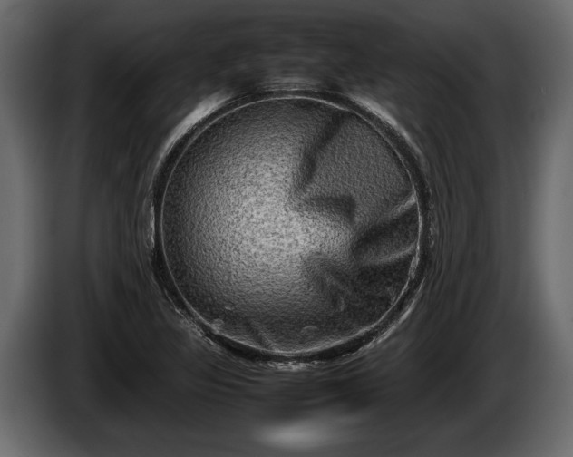 X0000085731317200703231039