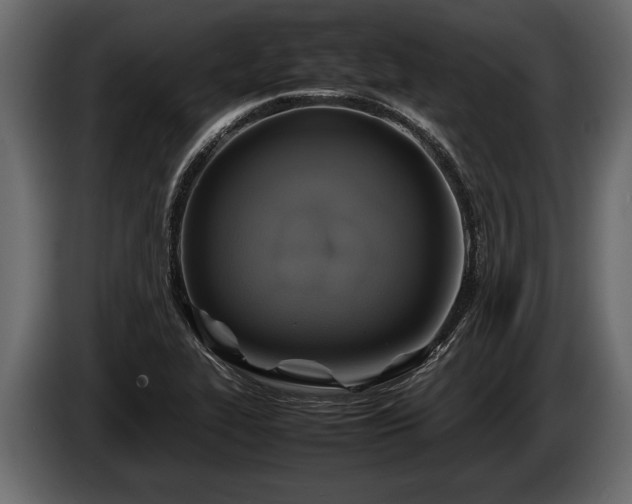 X0000085731319200703231039