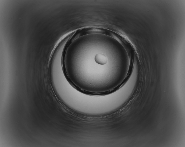 X0000085731320200703231039