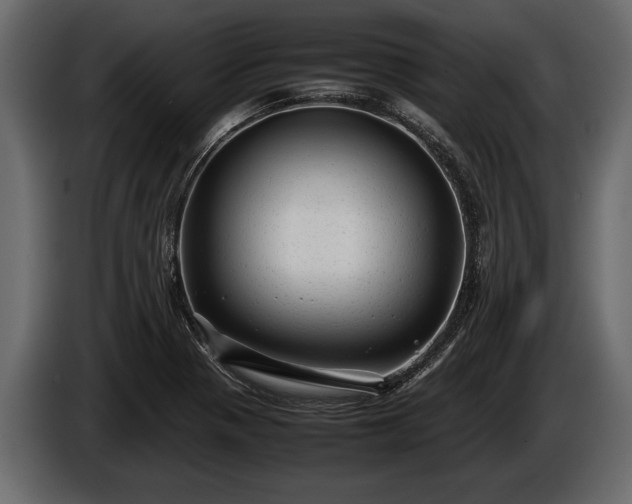 X0000085731321200703231039