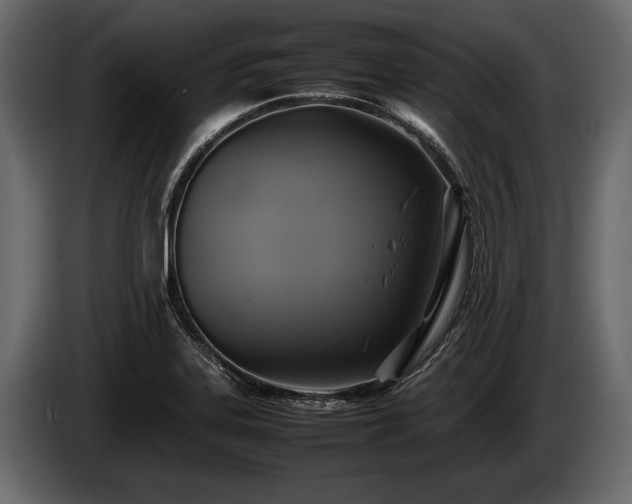 X0000085731323200703231040