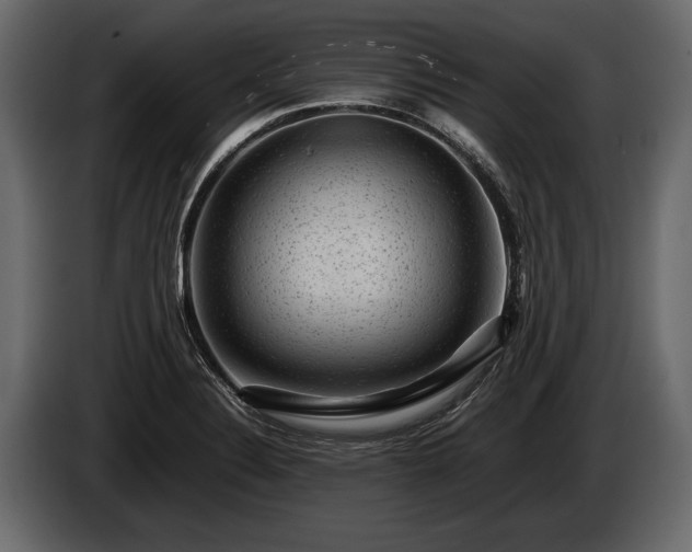 X0000085731324200703231040