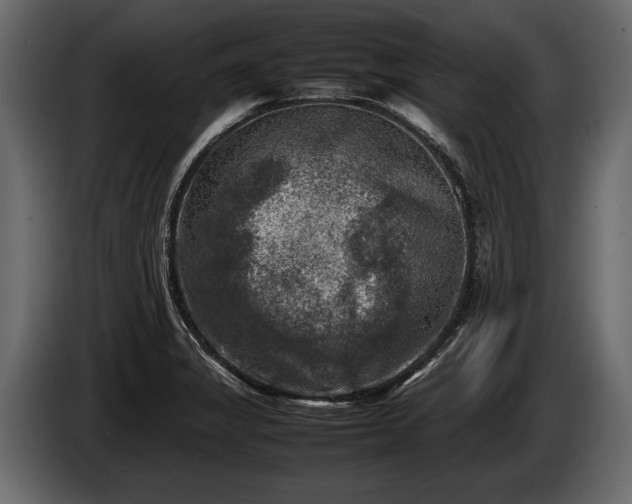 X0000085731325200703231040