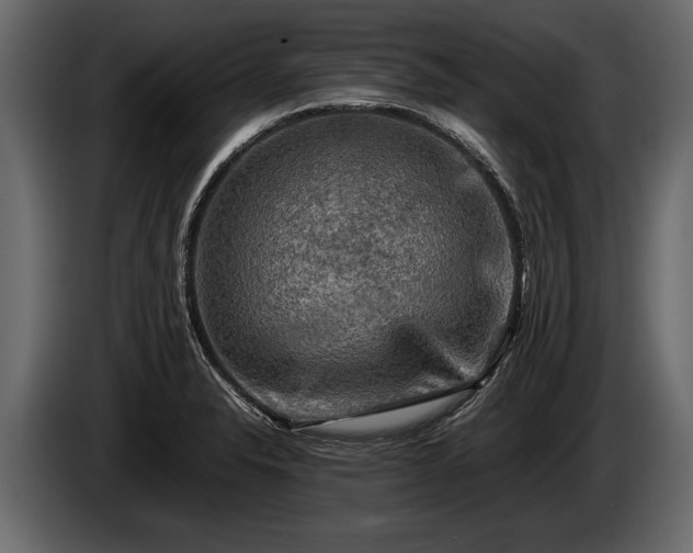 X0000085731326200703231040