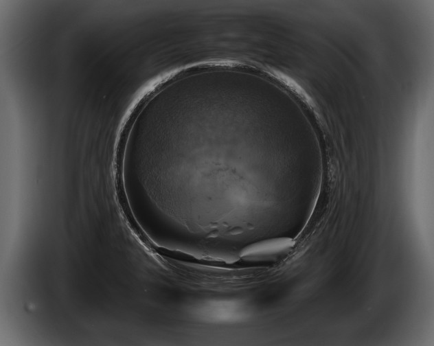 X0000085731327200703231040